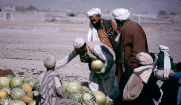 Afghani Water Melon Seller, Camel Market, Kabul